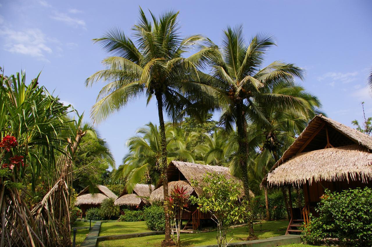 Coco Loco Lodge Puerto Viejo de Talamanca Exterior foto